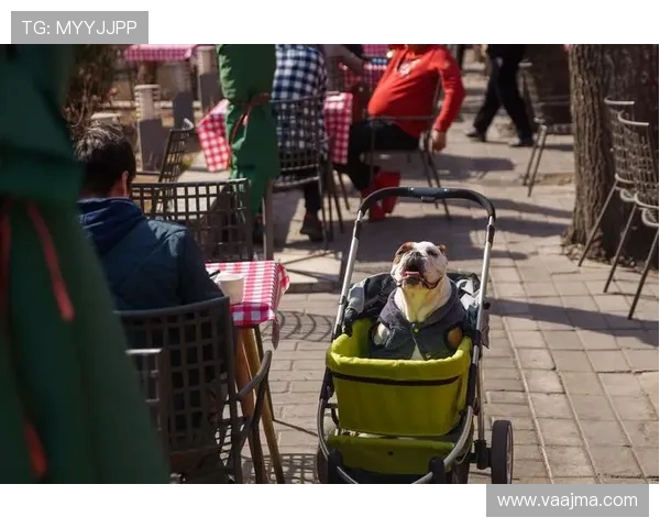 常州贴心迎客为外地球迷提供临时车位并推出宠物托管服务